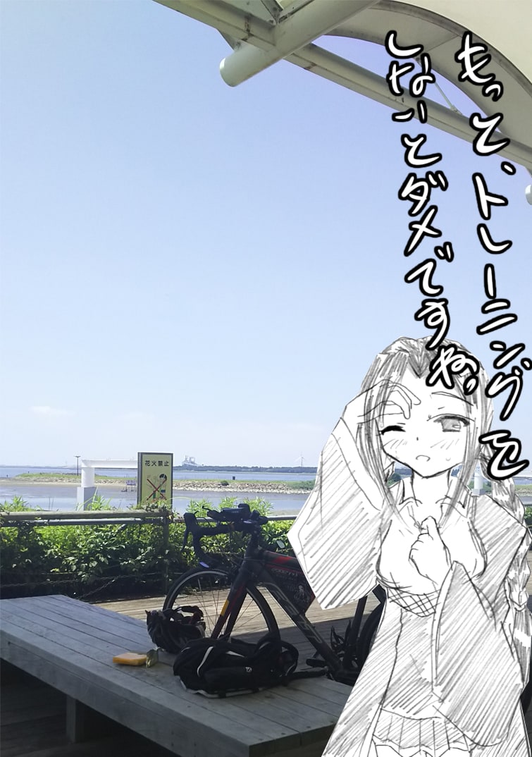 荒川サイクリングロード 鹿浜橋 葛西臨海公園 左岸 を走る こたなたよりこんなこと