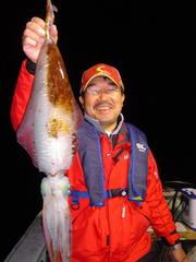 シロイカ スルメイカ アオリイカ ソデイカ うまいか 海人川人 やっさん 安田明彦 の釣って食って楽しんで シロイカ スルメイカ アオリイカ ソデイカ うまいか 海人川人 やっさん 安田明彦 の釣って食って楽しんで