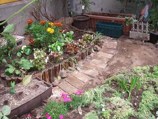 ガーデニング編 狭い庭の大改造 トマトおばさんの世直し談義