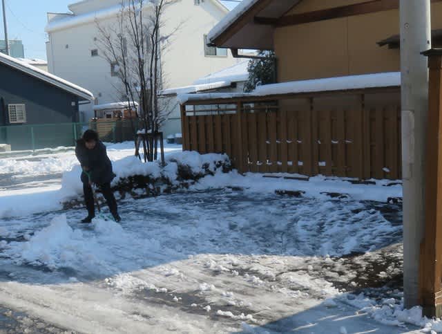 大雪の翌日は、雪かきして、雪の残る路地をのぞき歩きましたu2026 - 猫の