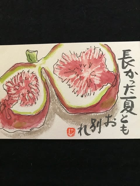 いちじく ばあばの絵手紙 いちじく ばあばの絵手紙