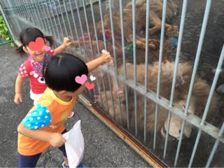 わくわく動物園 プラント６瑞穂店 Manaの韓国いやぎ