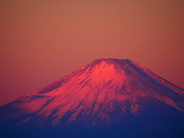 新春の朝日に赤く染まる富士 庭先の四季