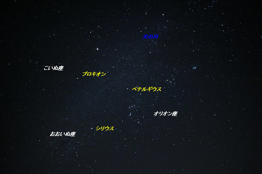 冬の星空の画像