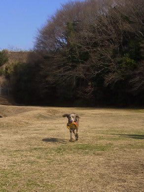 ディスク1
