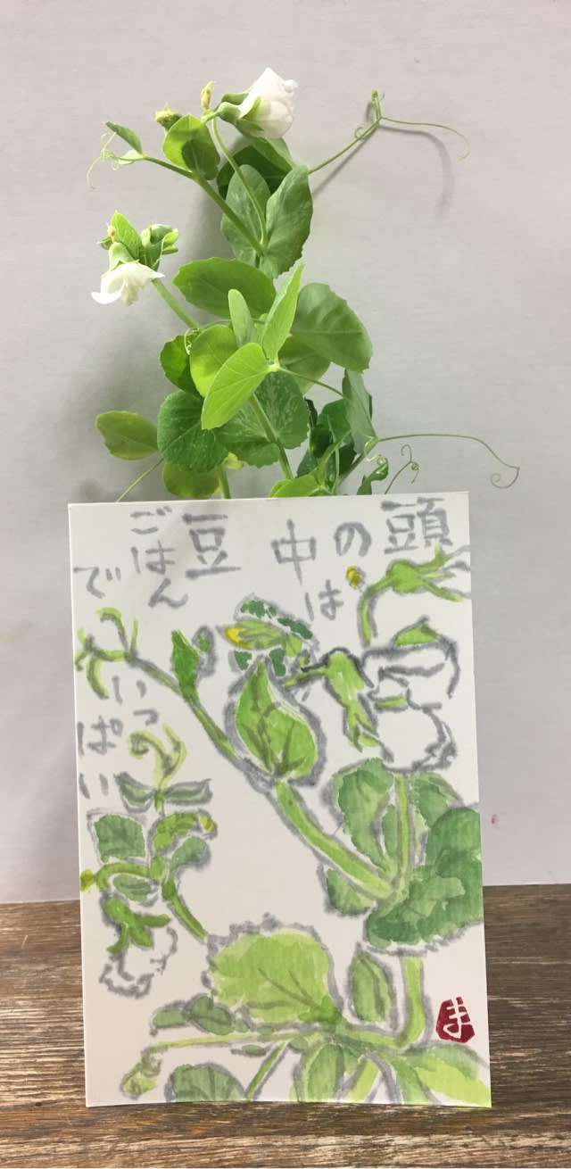 エンドウ豆の花の絵手紙 ふぅばぁ のんびりぶろぐ