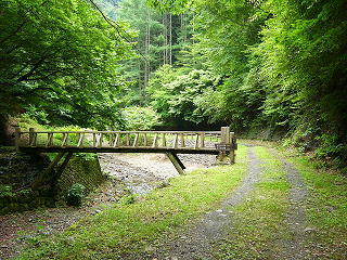 P1040235(1)(1).jpg