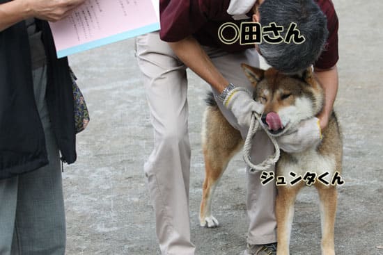 お父さんがいっぱい 北海道犬協会展覧会 コテツ こはるの王国警備隊日誌