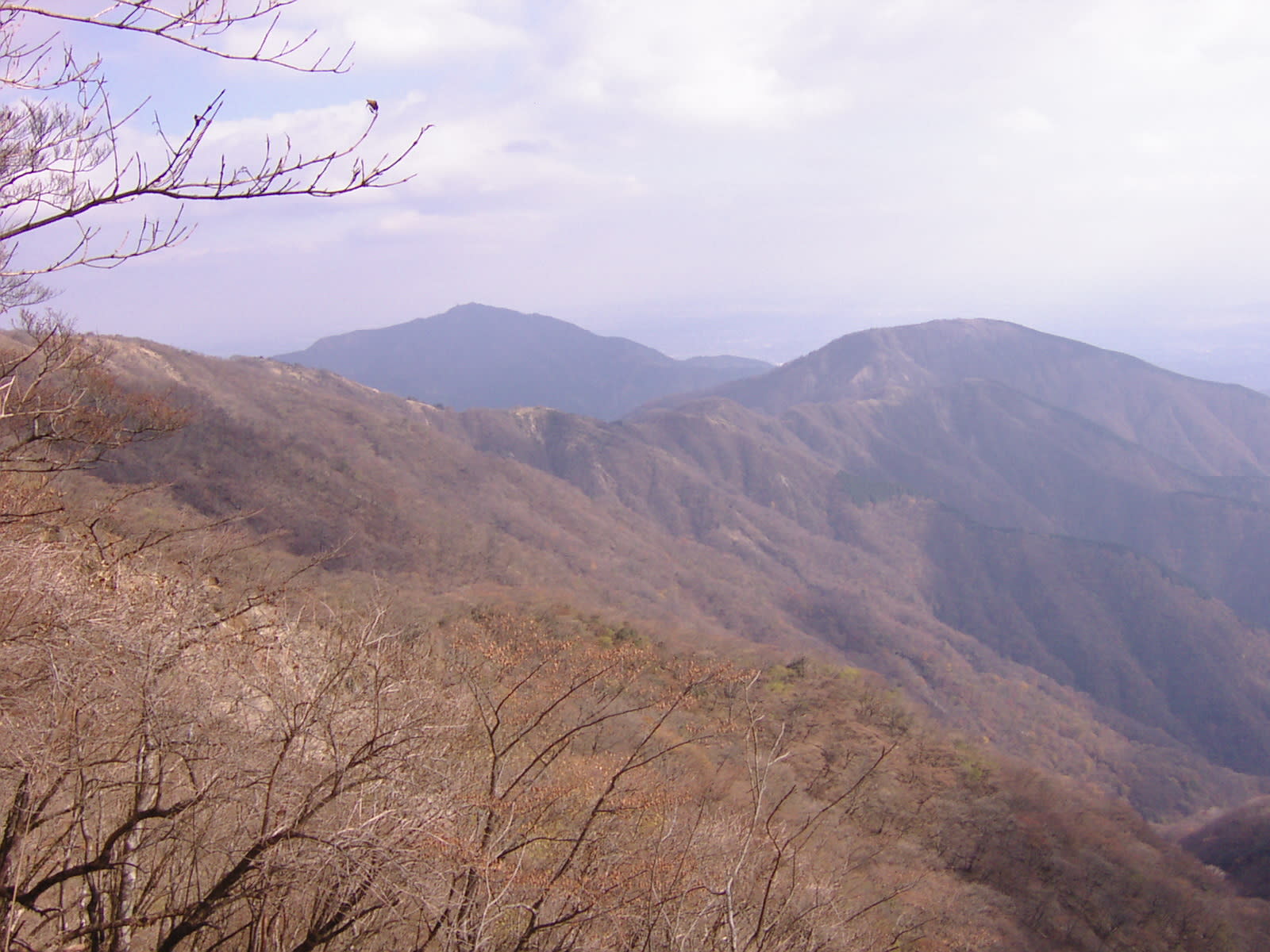 表尾根の向うに大山