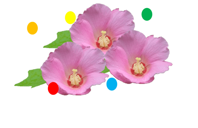 めぐりの花と旅 めぐりの花と旅