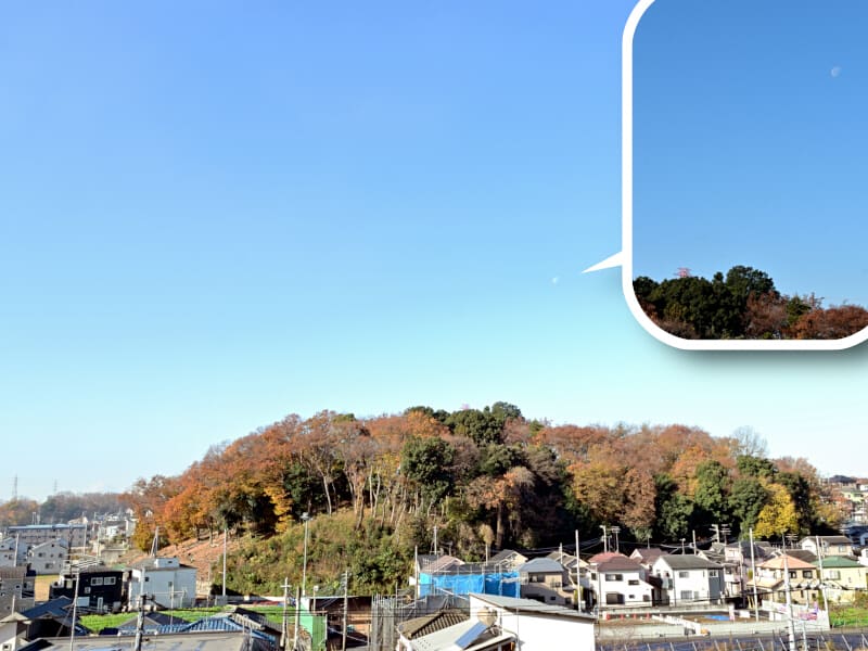 12月14日 根岸台