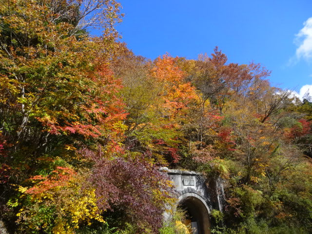 道志道の紅葉 相模の国の散策だより