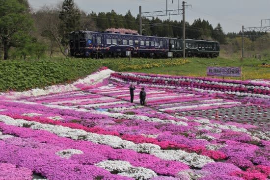 いさりび鉄道とともに、花の町“木古内町”を歩く．．． - 残しておき