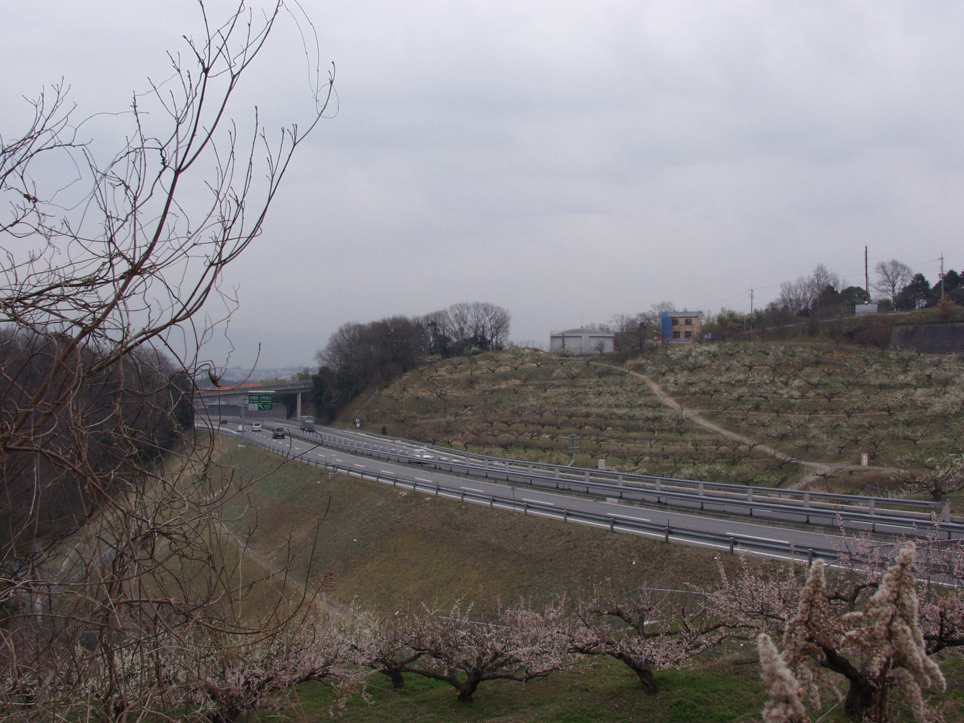 第二阪奈有料道路と奈良市追分梅林ch327195 写真共有 goo blog「フォトチャンネル」 第二阪奈有料道路と奈良市追分梅林ch327195 写真共有 goo blog「フォトチャンネル」
