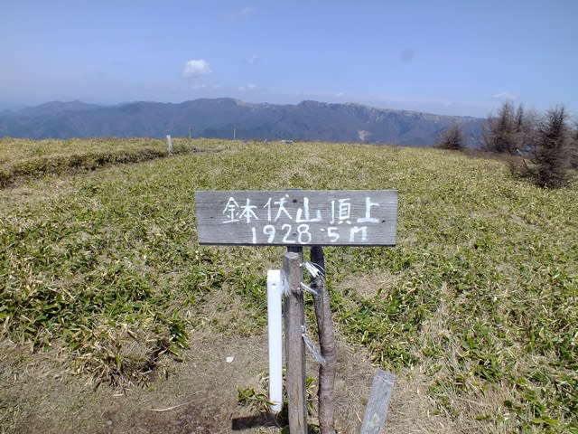 鉢伏山山頂