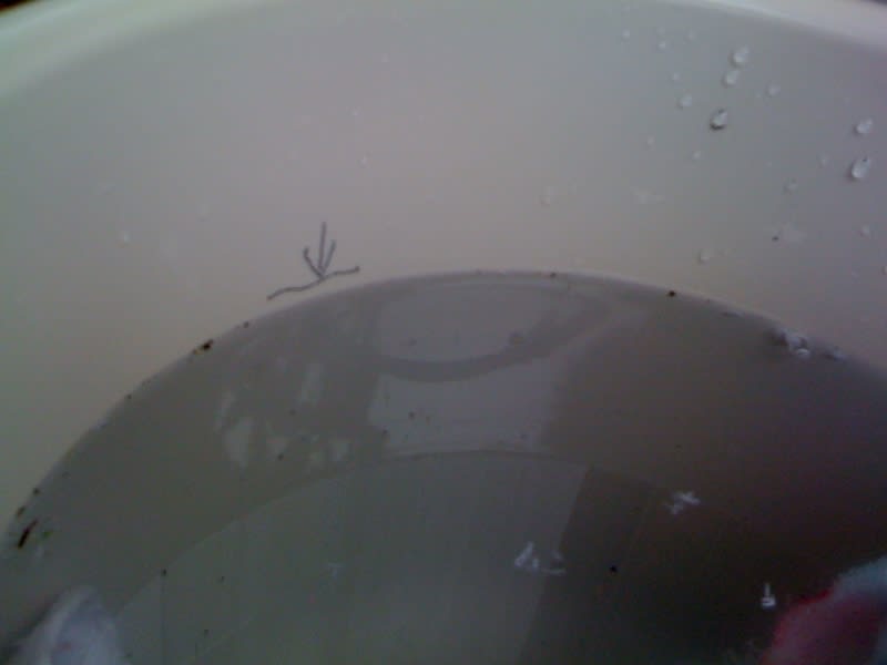 Img_1400 Img_1400