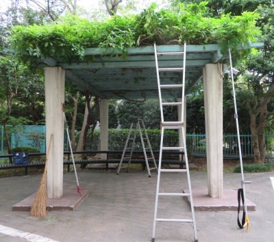 角型藤棚