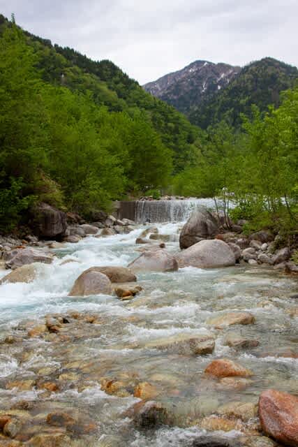 花春の訪れた番場島・早月尾根山歩 その五 - 金澤・能登立山