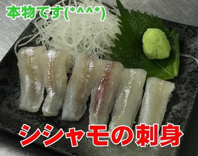 18年 今年も食べれます シシャモのお刺身 小樽 三角市場 武田鮮魚店