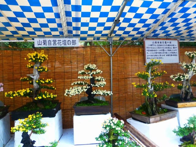 山菊自営花壇の部