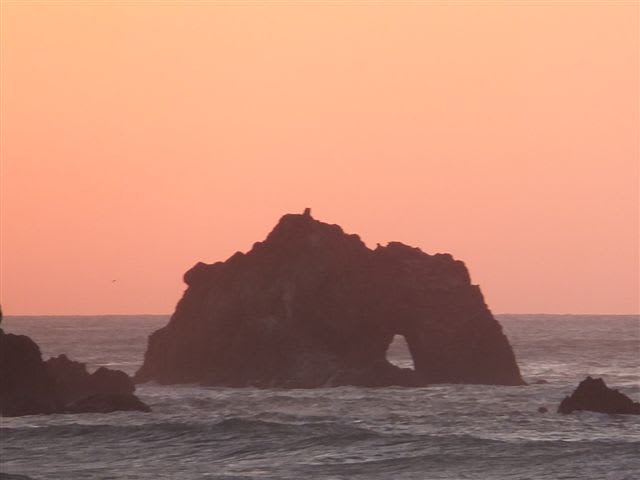 海を渡る鷹と蝶 道々の枝折