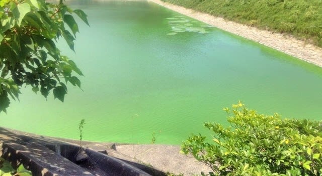 ダムの水質分析・調査業務のご紹介 - 東洋環境分析センタ－ 現場