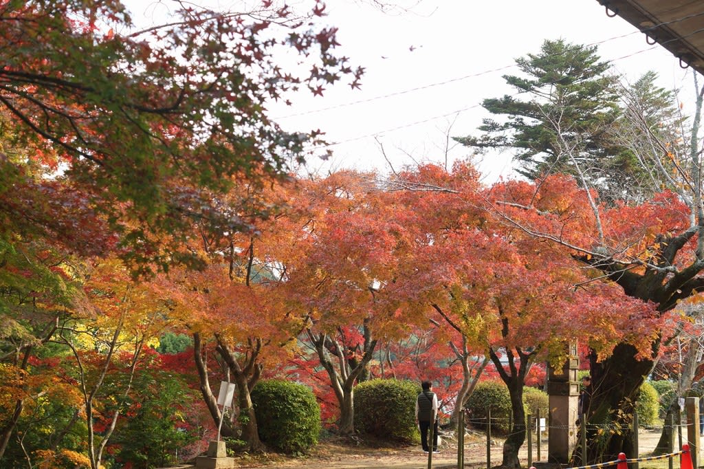 明治維新の起点 功山寺の紅葉 18年 山口県下関市 筑前の国からこんにちは