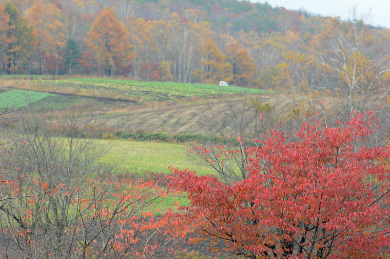 Dsc_5410 Dsc_5410