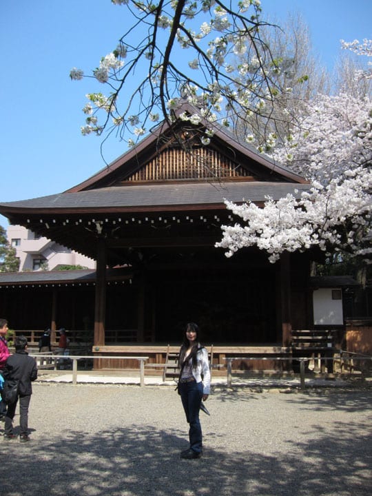 靖国神社 桜