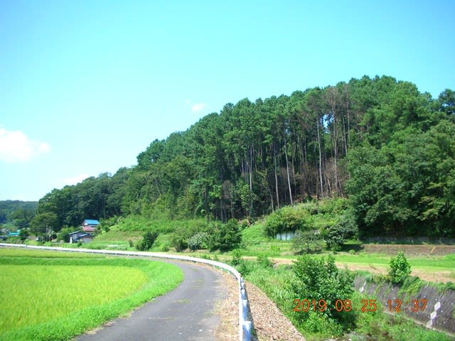 夏のときがわ のんのんびよりな景色を求めて