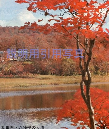 13八幡平(国立公園).jpg