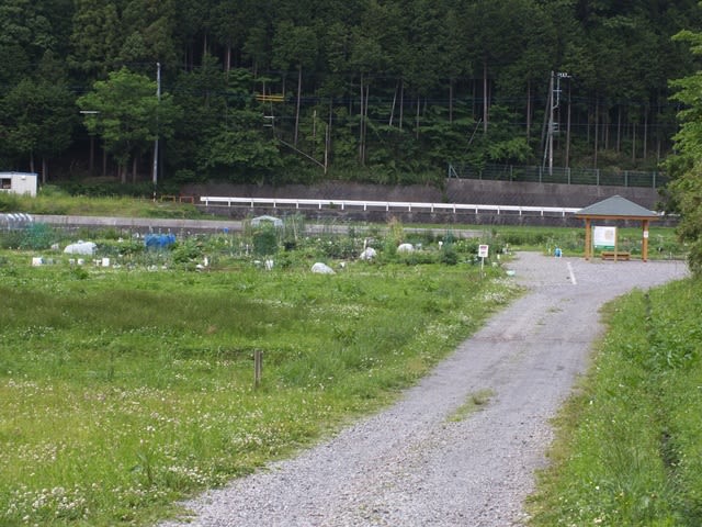 公園内の農園