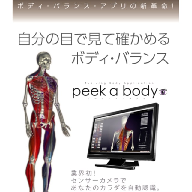 30％割引【お買得！】 姿勢分析 peek a body ピークアボディ リハビリ 