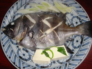 イシダイの酒蒸し 海人川人 やっさん 安田明彦 の釣って食って楽しんで