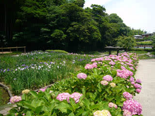 亀山公園の写真