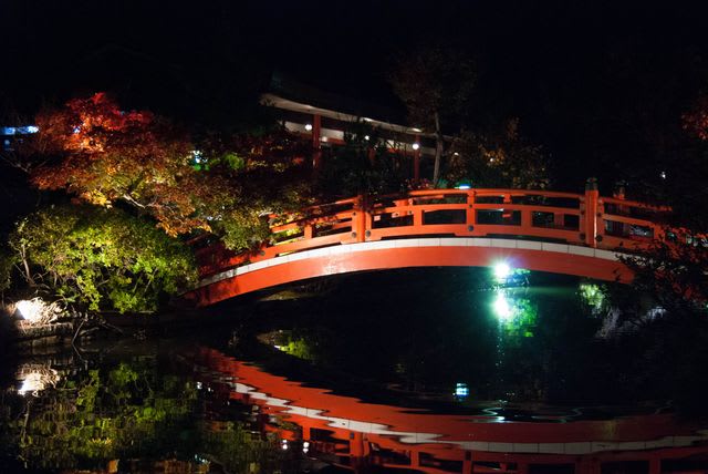 夜間撮影の練習に 神泉苑のライトアップを撮りに行きました 京都の風景写真