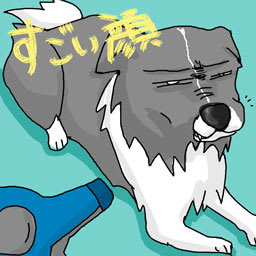 極悪犬 Hayatenoyouni 改め はやっ