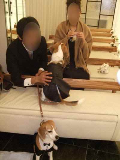 Photo_6