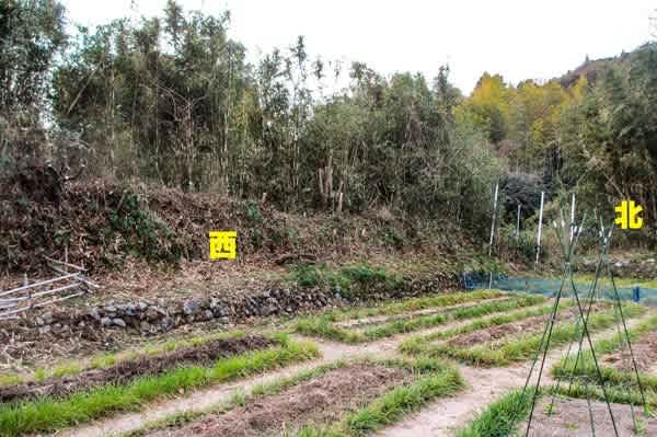 この石垣は 何のため 菜園 穏風 無農薬 無化学肥料 不耕起栽培で野菜作りに挑戦