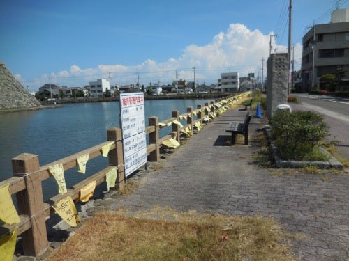 今治城 黄色いハンカチ きもの大好き