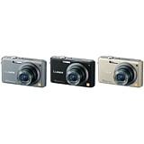 Panasonic LUMIX DMC-FX100