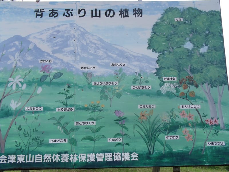 Dscf28331 Dscf28331