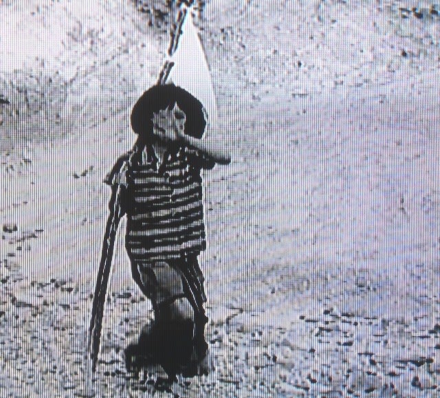 あの戦争の沖縄で 白旗の少女 命 ぬち 比企の丘