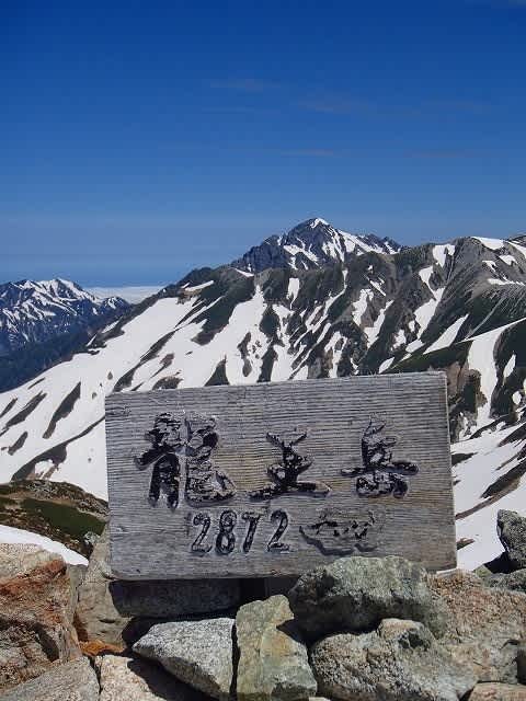 龍王岳山頂 山と生き物 龍王岳山頂 山と生き物
