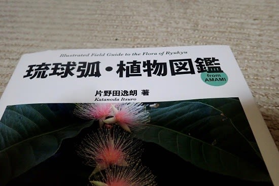 新しい植物図鑑 Miracle Nature 奄美大島の自然