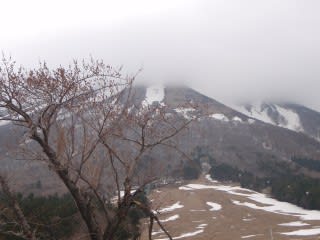桜はまだまだ 桝水原高原