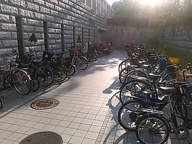 35 度 自転車