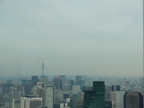 森タワー屋上の「スカイデッキ」から眺めた東京スカイツリー