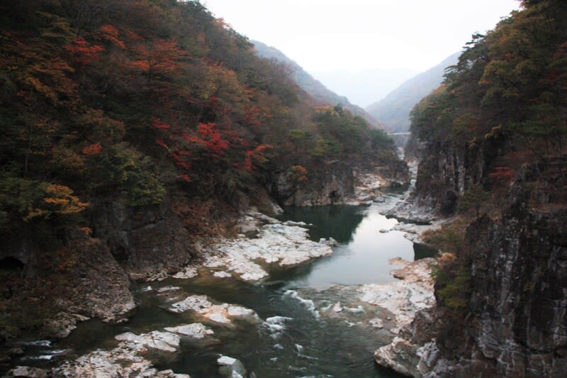 紅葉を求めて 龍王峡から川治温泉へ 写真で綴るすぎさんのブログ