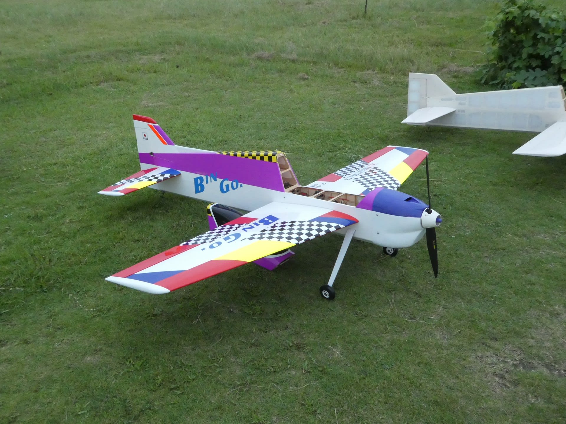 ラジコン飛行機 F3A 50練習機 電動 Vesta-x (未組立) ホビーラジコン